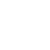Date Icon
